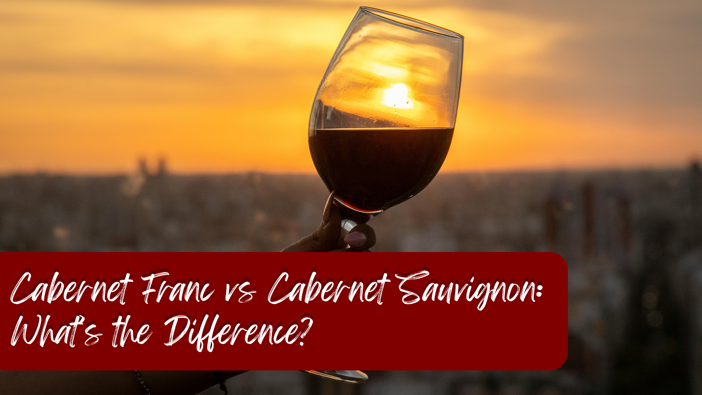 Cabernet Franc vs Cabernet Sauvignon: What’s the Difference?