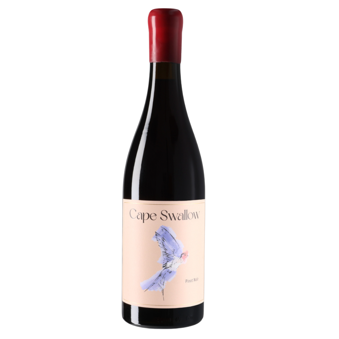 Cape Swallow Pinot Noir 2023 Per Case